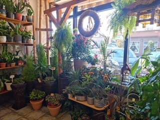 Kompozycje kwiatowe Flora Art