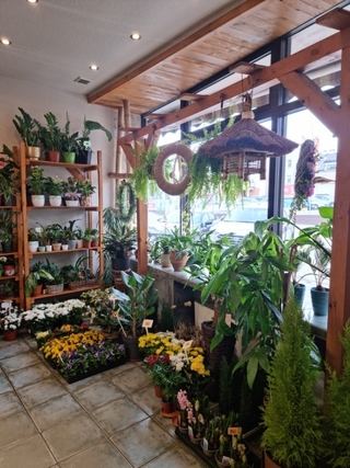 Florystyka Flora Art