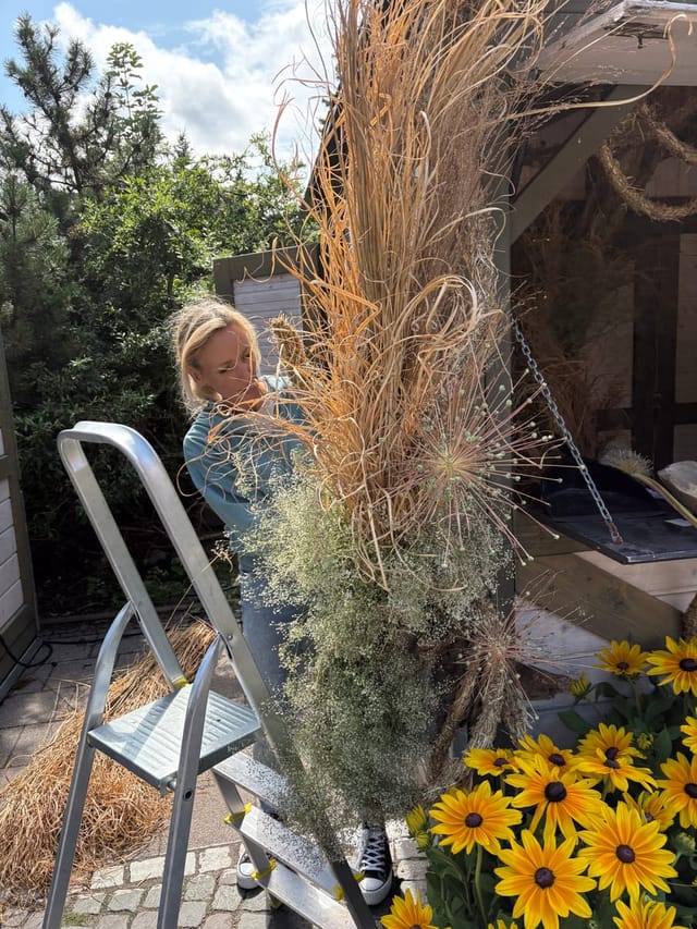 Florystka przy kompozycji z suchych traw, czosnku ozdobnego i gipsówki nad żółtymi rudbekiami